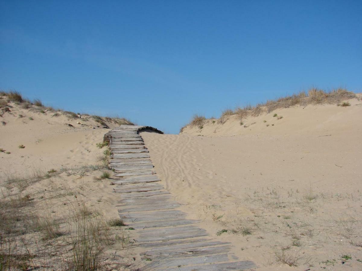 אוליבה Dunas Victoria מראה חיצוני תמונה